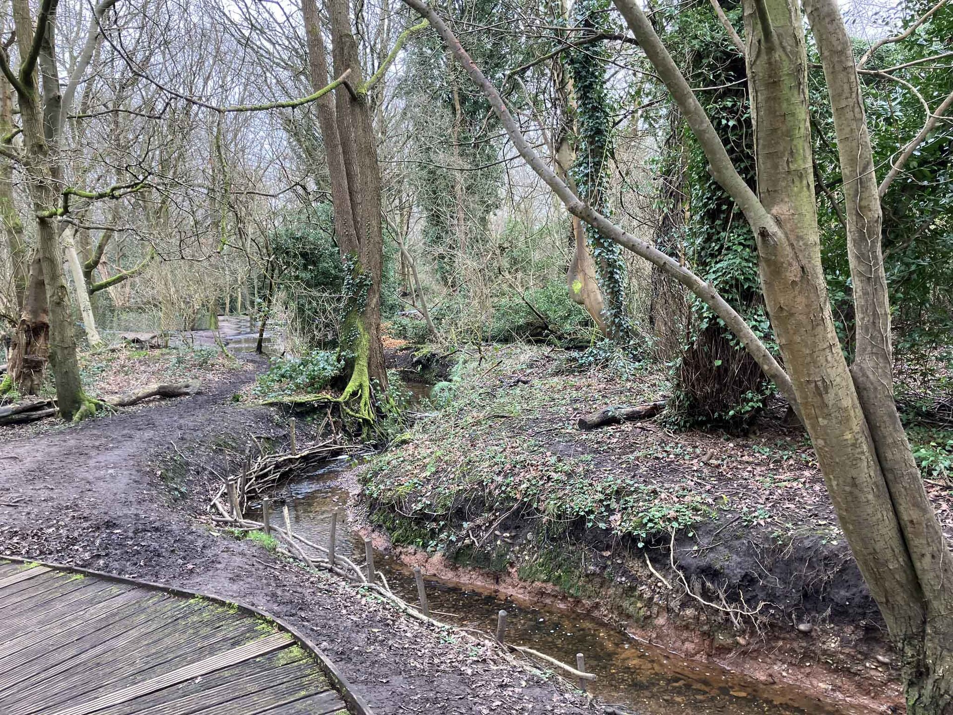 Moseley Bog, Birmingham
