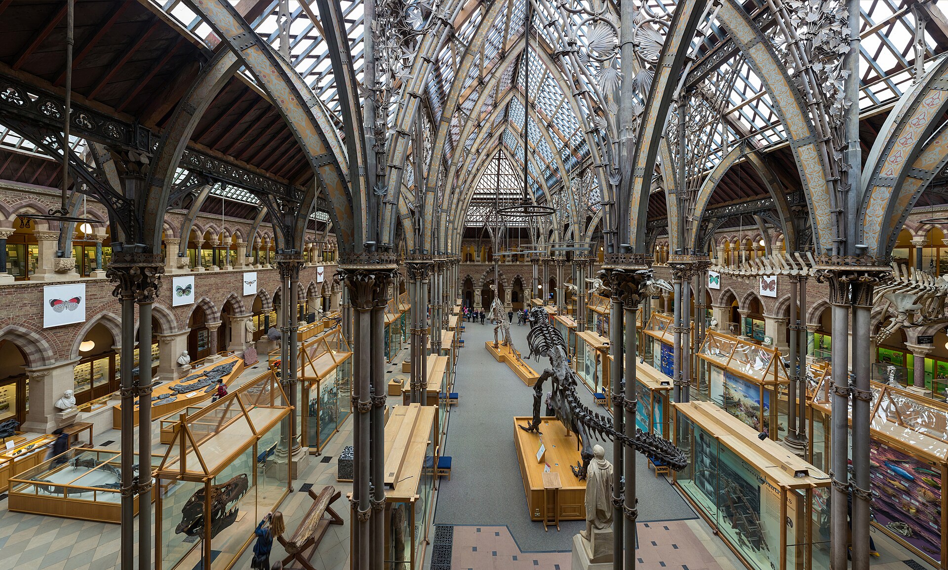 University Museum, Oxford